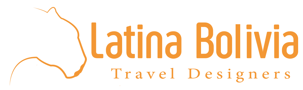 logo horizontal 1 color